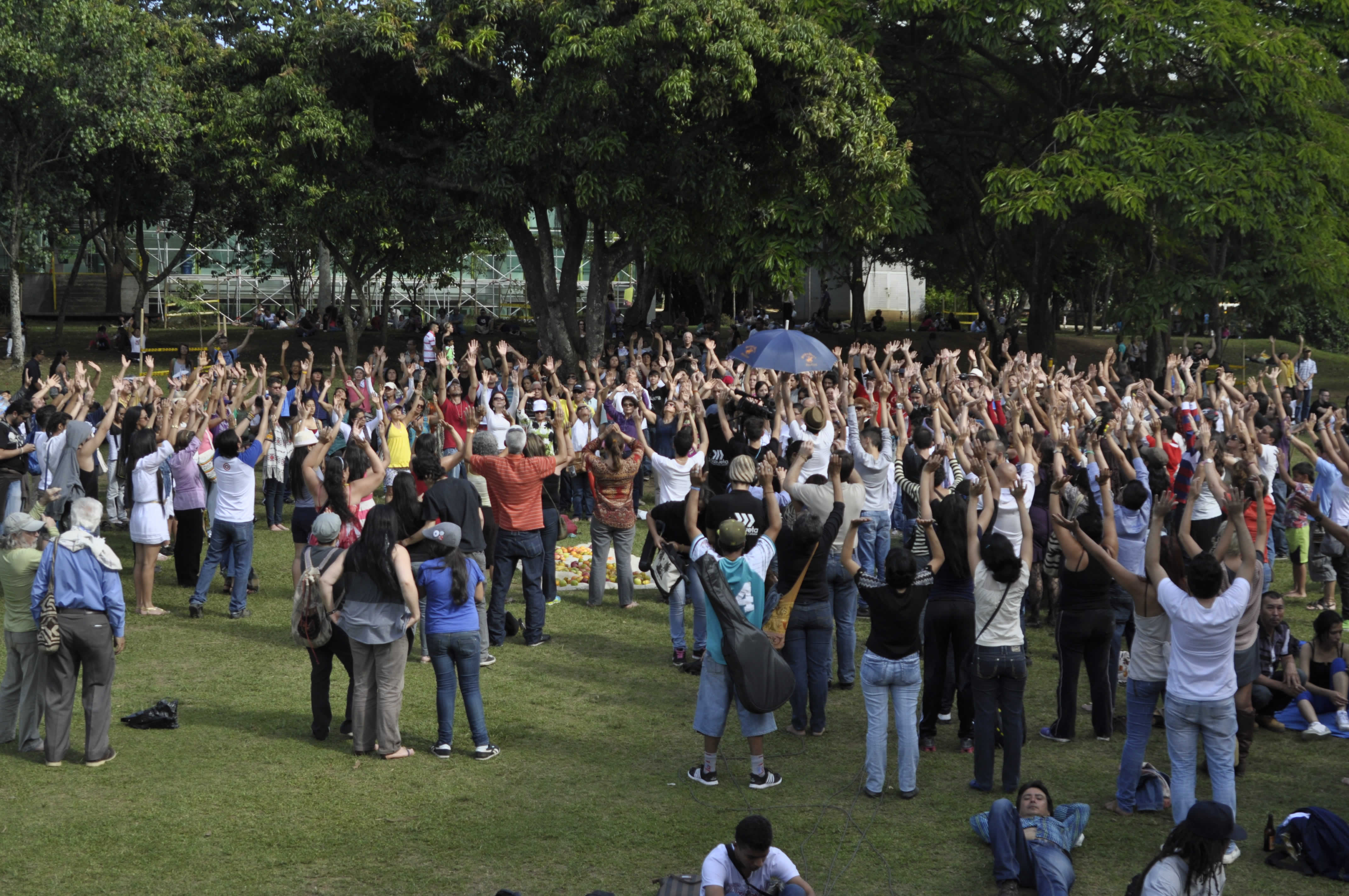 Participación de los asistentes