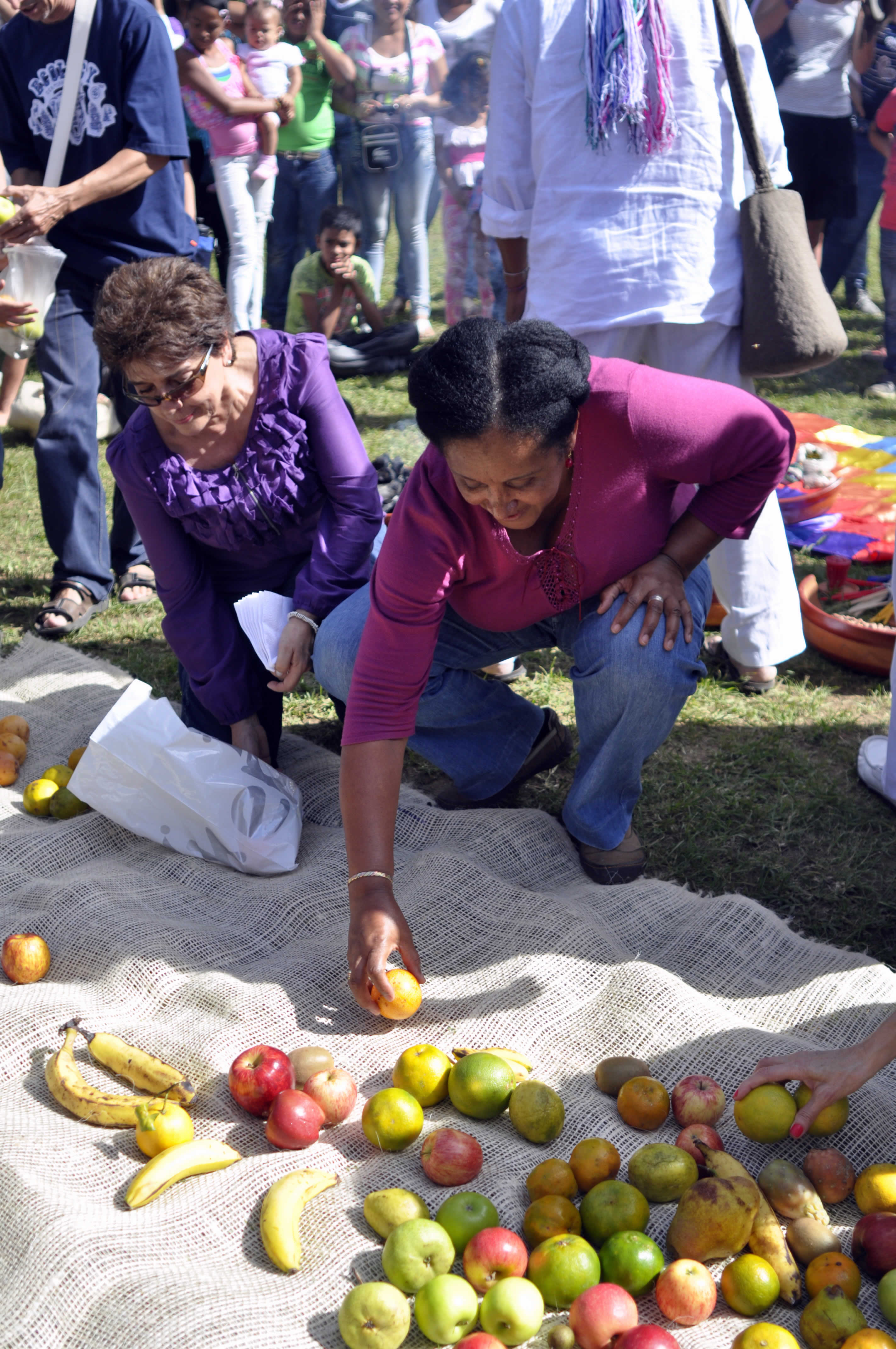 Participación de los asistentes