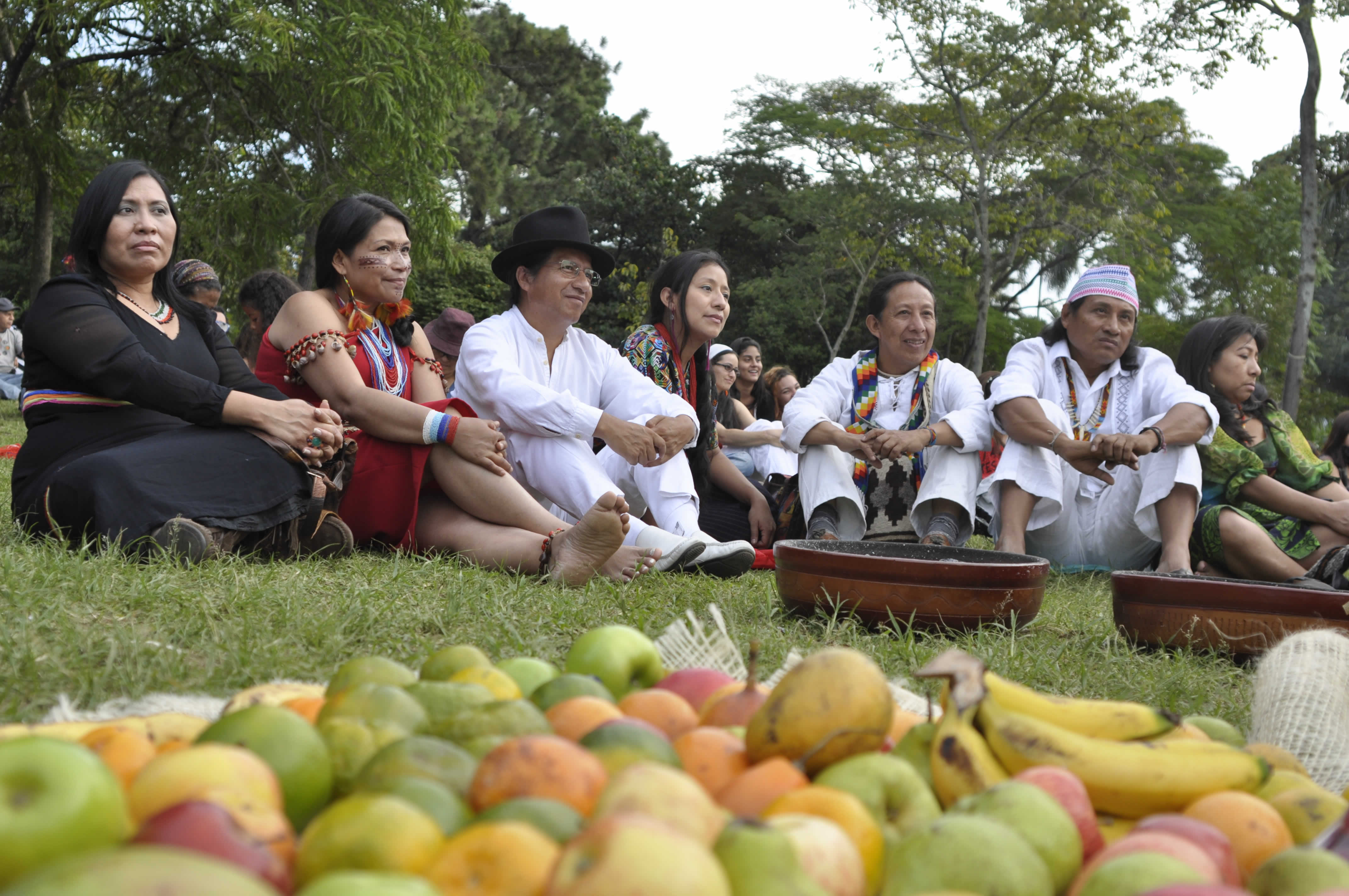 Morela Maneiro, María Clara Sharupi (Ecuador, Nación Shuar), Ariruma Kowii (Ecuador, Nación Quechua), Rosa Chavez, poeta Maya de Guatemala, Fredy Chicangana (Colombia, Nación Yanacuna), Manipiniktikinia (Panamá, Nacion Kuna)